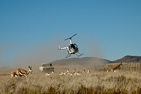 Helicopter Wildlife Management